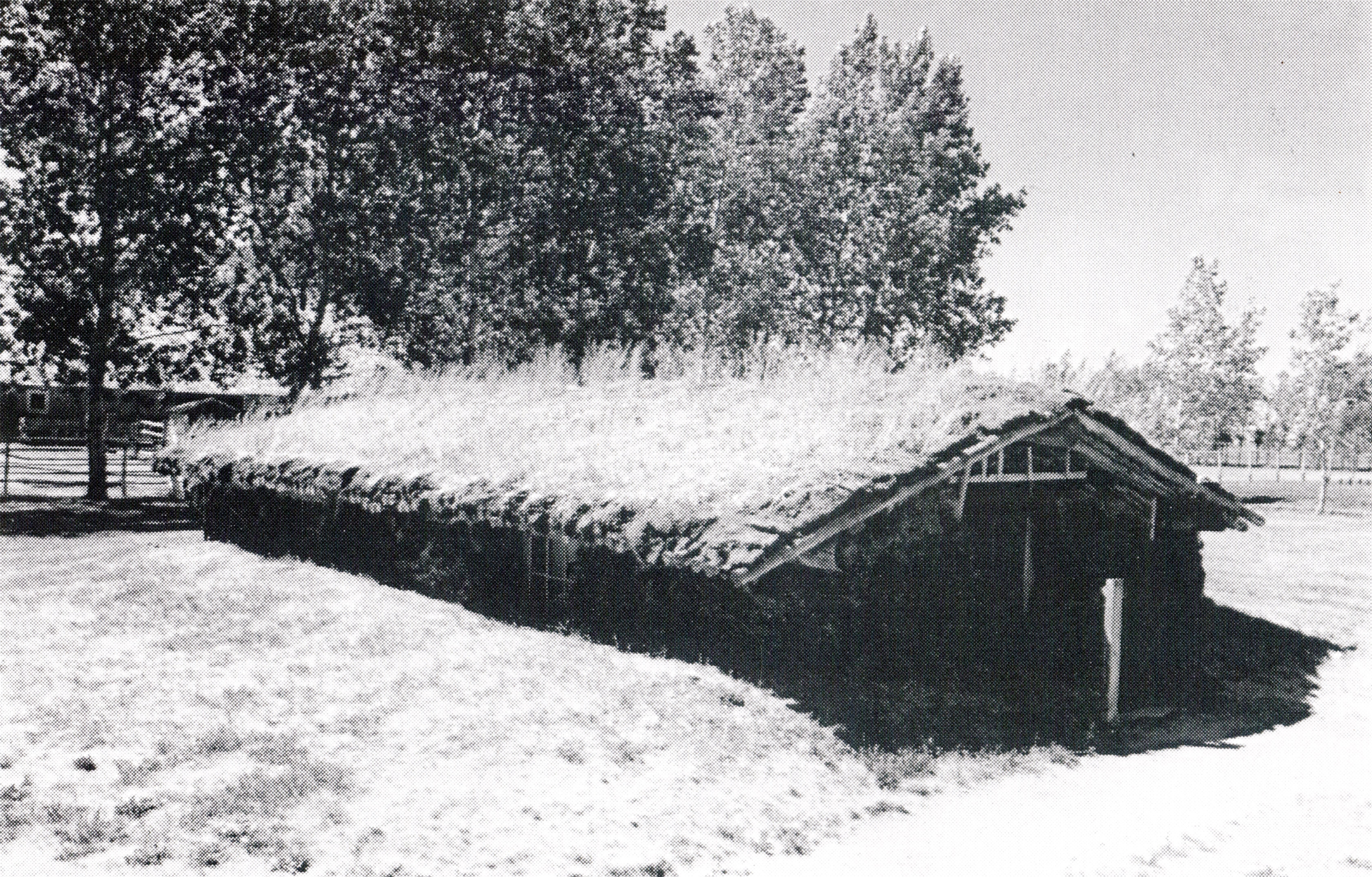 dugouts _first_colonists_black_sea_region